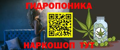 прущие грибы Тулун