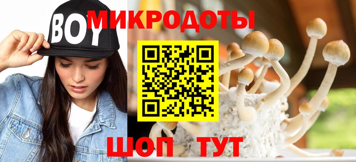 Нурлат  Галлюциногенные грибы мухоморы  Вход с VPN  Галлюциногенные грибы прущие грибы 
